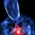 [방탄소년단] ㅇrㅁi들...