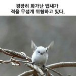 [댓글부탁해] 새학기 화장..