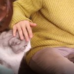 [경수] 이 냥이 좋겠당