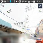 심심해서 <b>로드뷰</b>보는데 개쩔어..