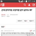 [인피니트] 이거 ㄹㅇㅋㅋㅋㅋㅋㅋㅋㅋㅋ