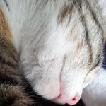 결국 저희가 거뒀습니다~ㅎ