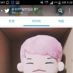 [세븐틴] ㅅㄷ) 인형좀 골라줘!!