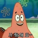 강아지 <b>베개</b>삼아 누워봤는데