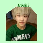 [세븐틴] 아 호시넘귀엽다..