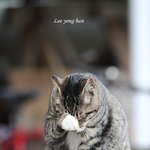 [꼭조언부탁] <b>오티</b> 갔다왔는데... 꼭 조언 좀 부탁해