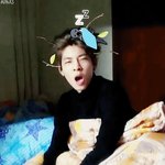 [세븐틴] 뭘했는데
