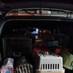 저도 도움의 글을 한번 올려봅니다