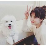 [드루와] 나 이사진 보고 <b>성종</b>이라 생각했는데 내가 이상한건가?...