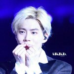 [EXO] 인간으로 <b>위장</b>한 준멘