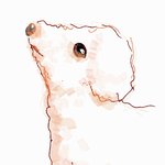 [그냥들어줘] <b>애견</b>카페강아지폭행사건