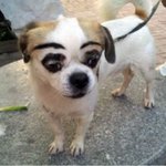 [댓글부탁해] 너네 애굣살에 뭐발라???