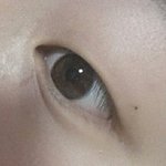 눈동자 확 티나는 <b>갈색</b>인솨람