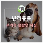 [펌] <b>애완</b>동물 분양전 알아둬야할것
