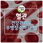 [퍼왔음] <b>혈관</b>이란? <b>혈관</b>건강관리법