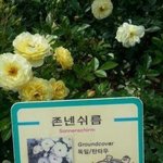 [EXO] <b>판앱</b> 조카 맘에안드는거