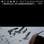 너무 <b>잔인</b>한 아저씨를 봤어요 ㅠㅠ