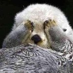 토<b>나올</b>거같아 웃긴개그하나만 쓰고가주라..
