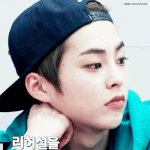[EXO] 이거 ㅈㄴ<b>선배</b><b>미</b> 쩔지않냐