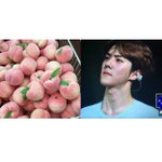 [EXO] 오세훈 <b>탄생화</b>도 복숭아꽃 아님?