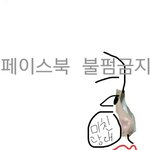 [개깊은빡침] <b>콧대</b>