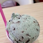 민트맛 좋아하는<b>사라</b>암