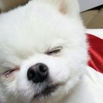 방금 <b>책상</b>에 무릎 박았는데