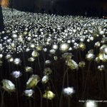 [EXO] <b>LED</b>장미들고싶었는데