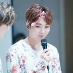 [세븐틴] 나 오늘 <b>캐럿</b>만났다..