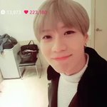 샤이니태민초동