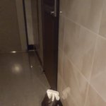 [개깊은빡침] 원룸<b>복도</b>에 쓰레기 내놓는 이웃 욕나옵니다...