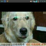 [EXO] 9충들 8지지만보면 <b>광견병</b>걸림ㅋㅌㅋㅋ