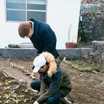 [세븐틴] 세븐틴 일코&amp;<b>남친</b>짤 모음