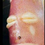 [댓글부탁해] 이번에 같이 다닐 애들