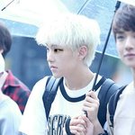 [세븐틴] ㅅㄷ)친구가 호시닮았다길래