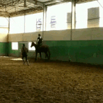 [방탄소년단] 자왔어 태형이 <b>움짤</b>