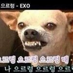 얘들아 짝남 <b>조카</b> 어이없음