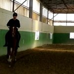 [방탄소년단] 하ㅠㅠ김태형 본격 <b>승마</b>연습