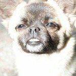 계속사투리타자로친다캐서조절하는데..