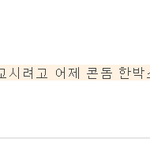 원반아