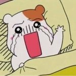 나 이제 고1인데 생활팁좀!!