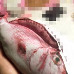 [댓글부탁해] <b>필통</b>이거괜찮아???