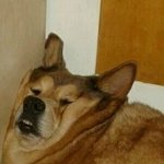 스크린샷 <b>상단</b>바 빼고 하는 법 없어?