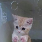 <b>졸</b><b>귀</b>짤ㅜㅠㅠㅠㅠㅠ