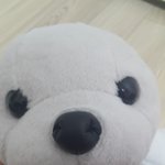 [EXO] 물개한테 <b>눈썹</b> 그려줄껀데 <b>모양</b> 추천좀