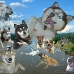 [댓글부탁해] 근데 치인트 드라마도 곧 결말ㅇ났으니