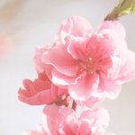 [방탄소년단] 학생 이삐들 다 <b>자러</b> 갔나????
