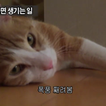 빅스 레오랑 똑닮은거 발견.