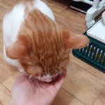 나의 동거남 <b>도칠</b>이 잘못된 습관.