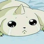 너넨 <b>이런상황</b>에서 어쩔거야?ㅠㅠㅠ